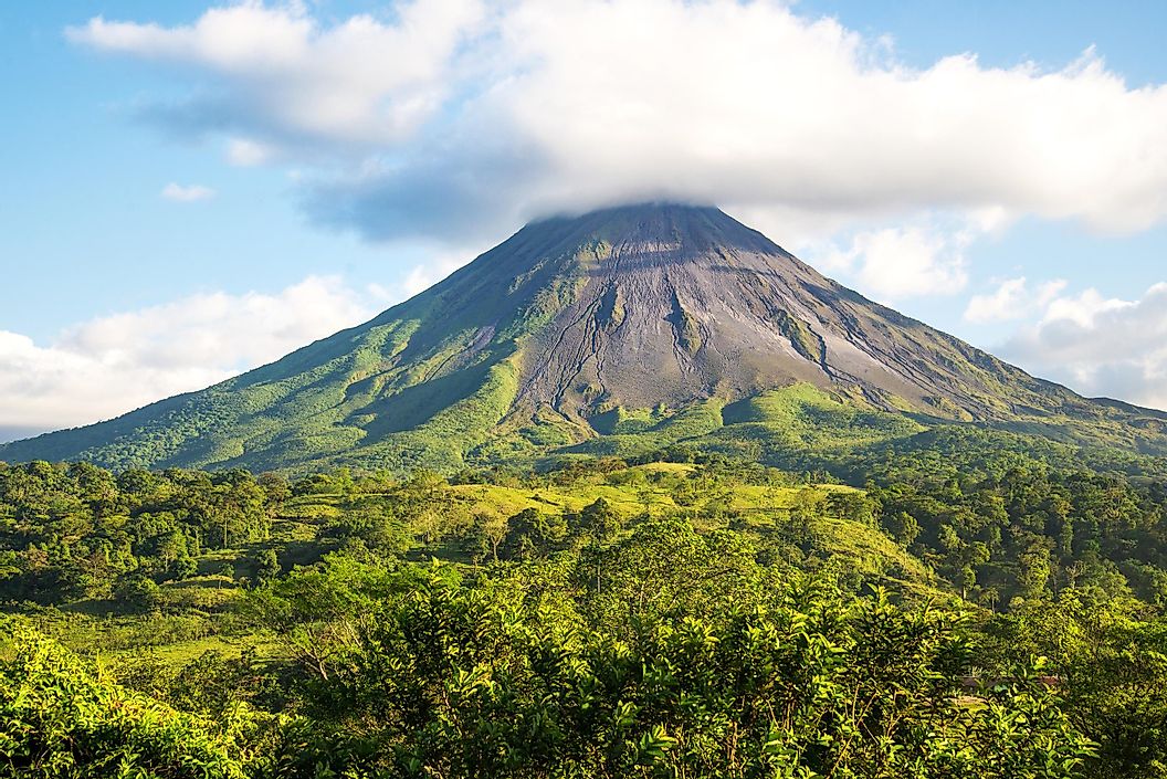 volcano lush green coffee soil