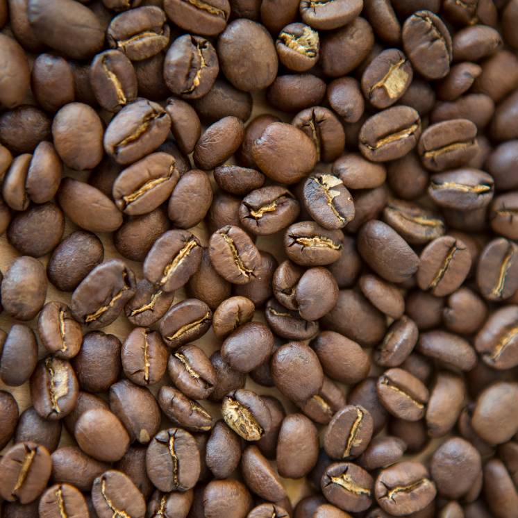 Guatemala - Single Origin
